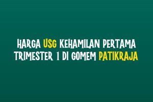 Harga USG Kehamilan Pertama Trimester 1 di Gomem Patikraja